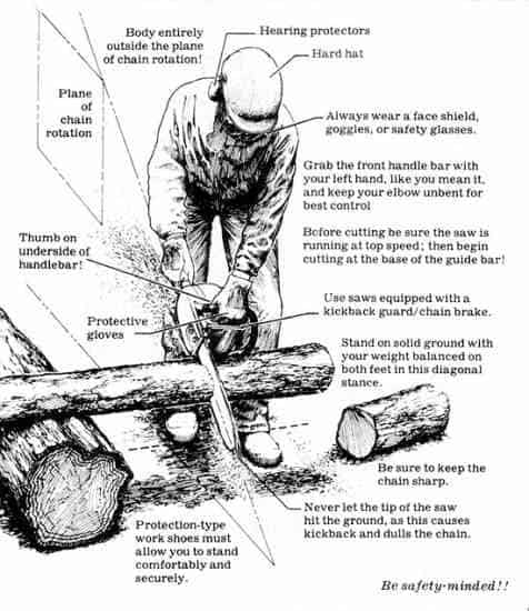 best chainsaw for women
