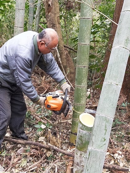 Top Best Tool To Cut Bamboo: Not Difficult In Cutting Bamboo! 3 IMG20191226141305