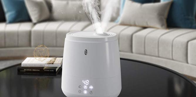 TaoTronics 6L Ultrasonic Humidifier TT AH046 review