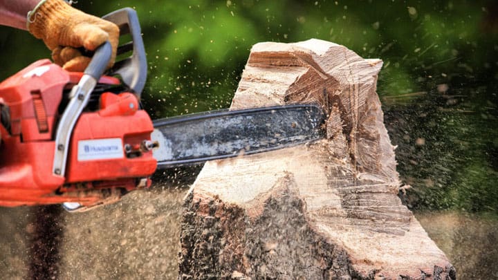 cropped hand of man sawing tree at forest 600813597 59b1cfbe22fa3a0011fc008c