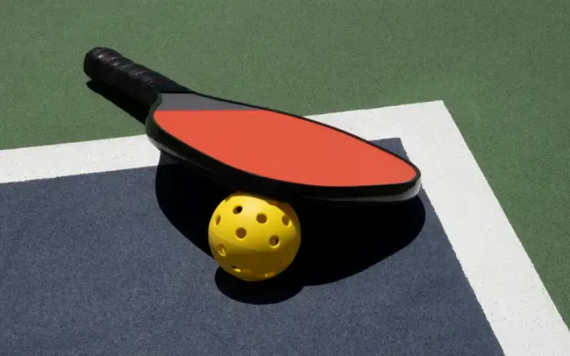 Quietest Pickleball Paddles