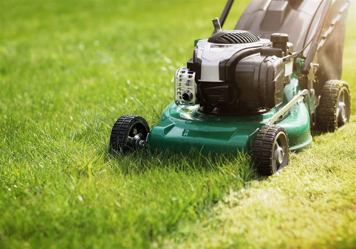 Top 15 Quietest Gas Lawn Mowers [year]: Suitable For You! 2023