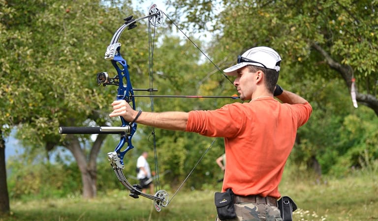 Top 10 Best Quietest Compound Bow Reviews & Comparison 2024