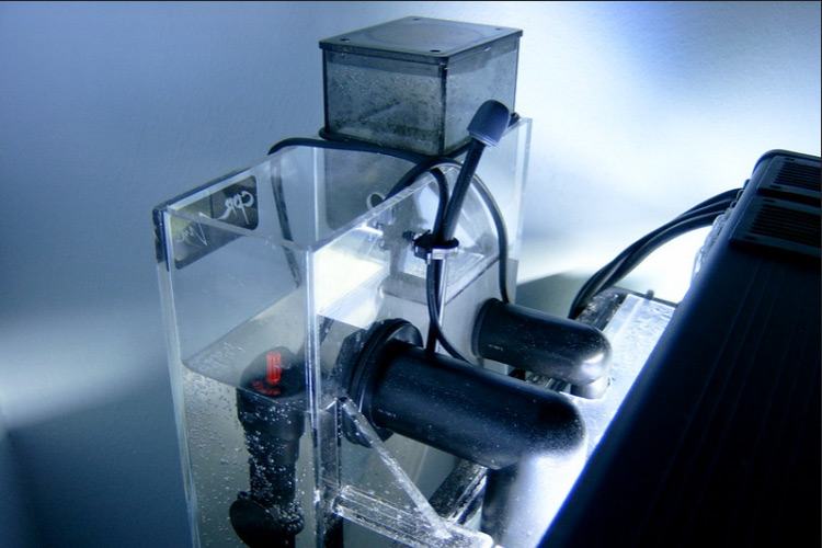 best protein skimmer hang on back protein skimmer