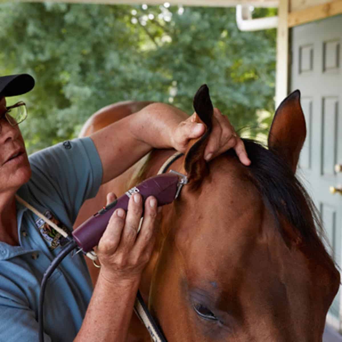 Top 13 Quietest Horse Clippers For Your Choices 1 dana boyd miller andis 1