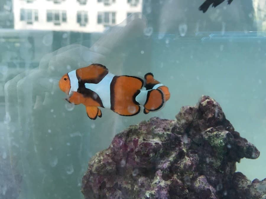 image 409f03847fa076a19c406ba7233f556a