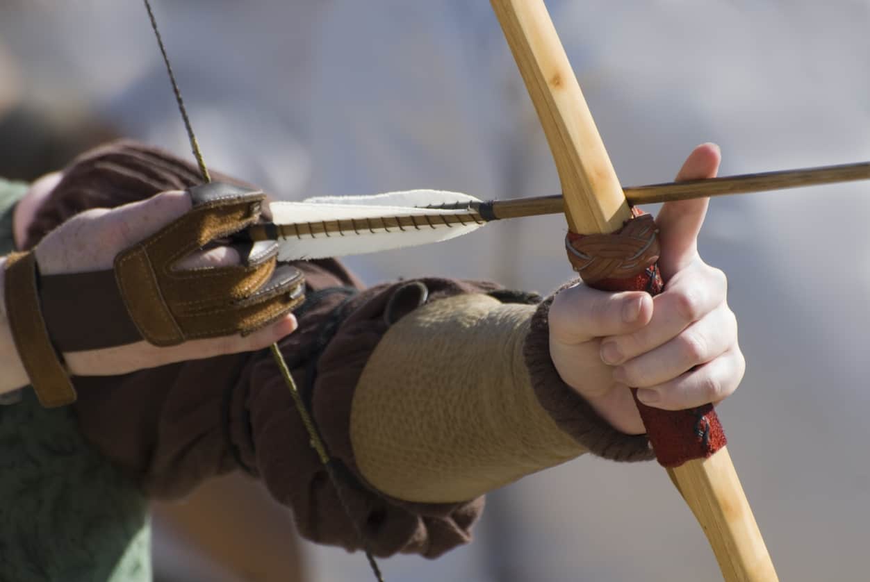 Top 13 Best Ambidextrous Recurve Bow Reviews 2025