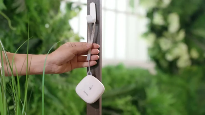 Home - Findingneverlandthemusical 28 Govee Thermometer Wifi