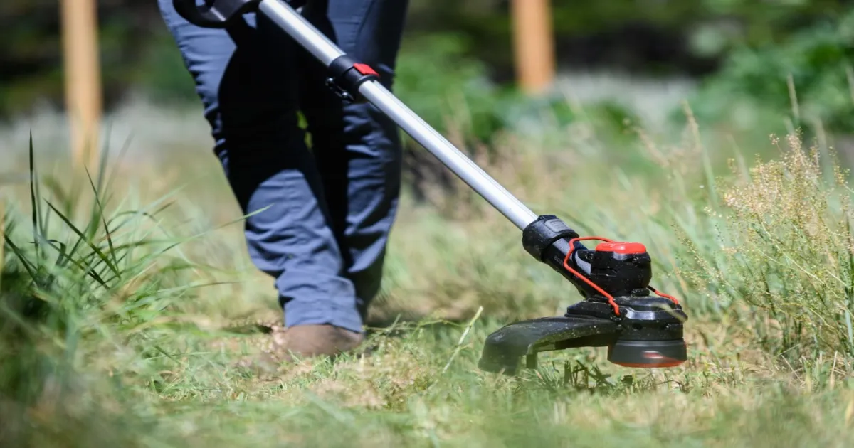 best weed eater head