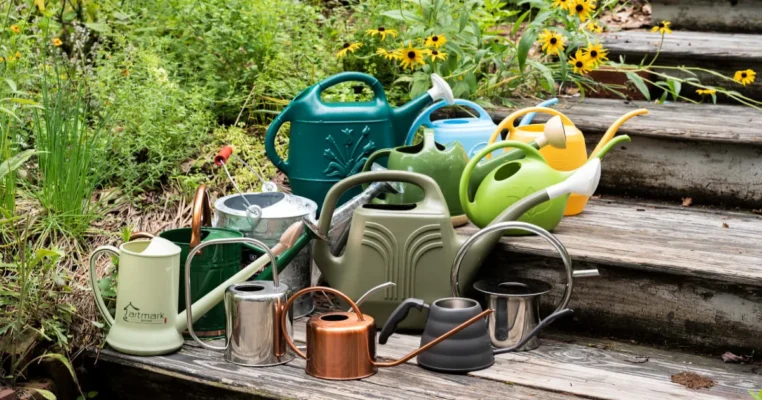 Home - Findingneverlandthemusical 17 best watering can