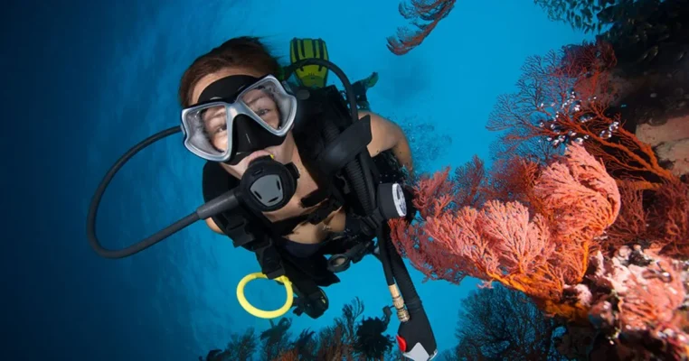 Home - Findingneverlandthemusical 13 scuba mask