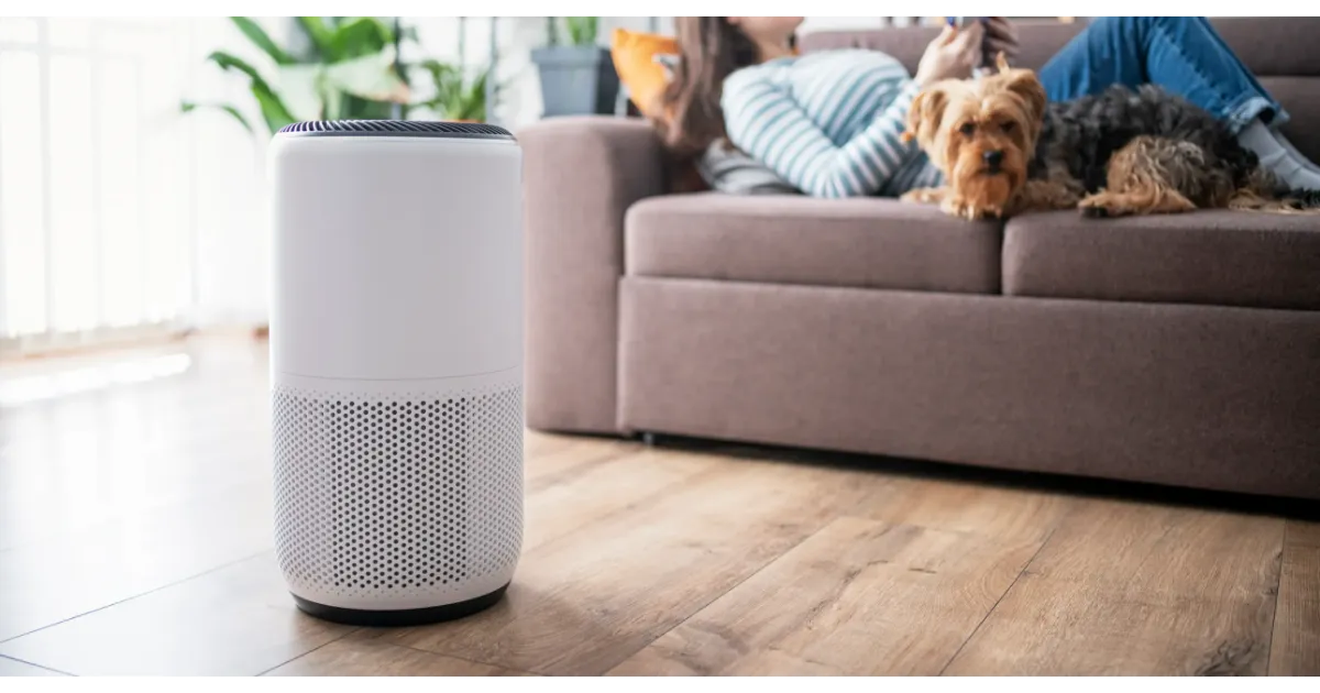 10 Best Air Purifiers 2 air purifier