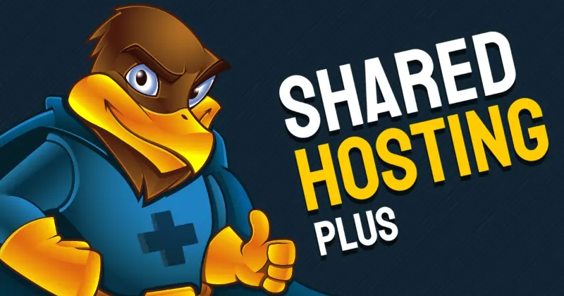 Comprehensive Review of Hawk Host: A Versatile and High-Performance Web Hosting Provider 2 HawkHost Professional Plus Hosting